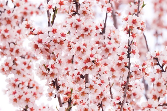 奇妙的物理现象范例6篇