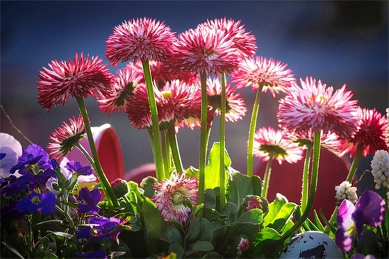 客户关系管理案例范例6篇