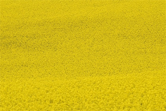 爱情童话范例6篇