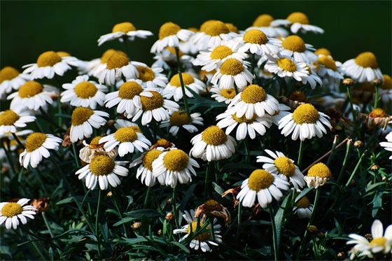 多媒体技术论文范例6篇