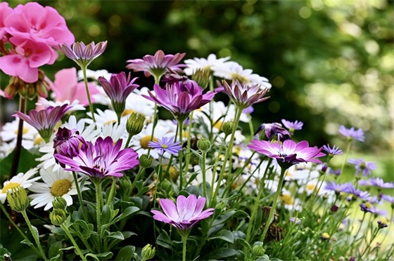 对母亲的诉说范例6篇