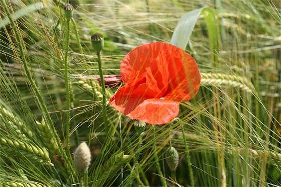 今后的努力方向和改进措施范例6篇