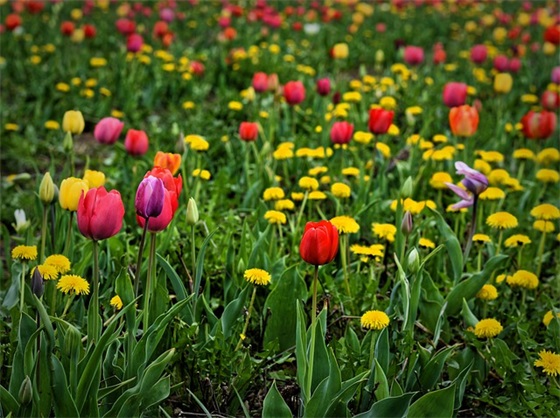 人生压力的哲理心情短语