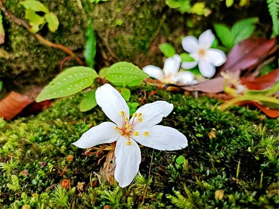 安慰女朋友痛经的话121句