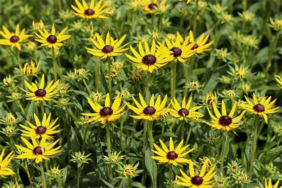 最暖心的情话100句