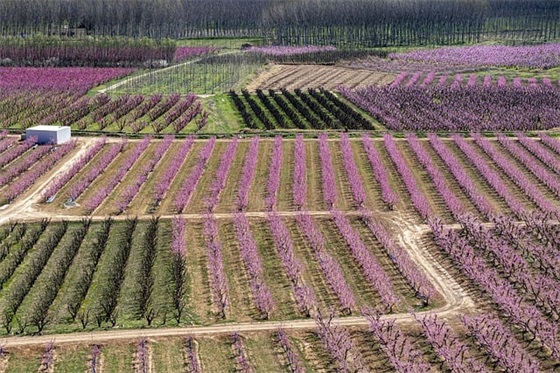 带科字的qq网名