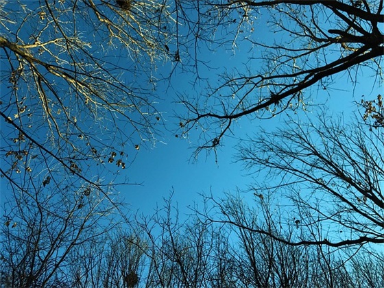 最新两字古风网名女生