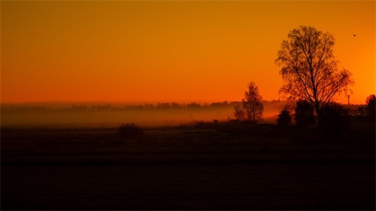 带清俊两字的网名大全