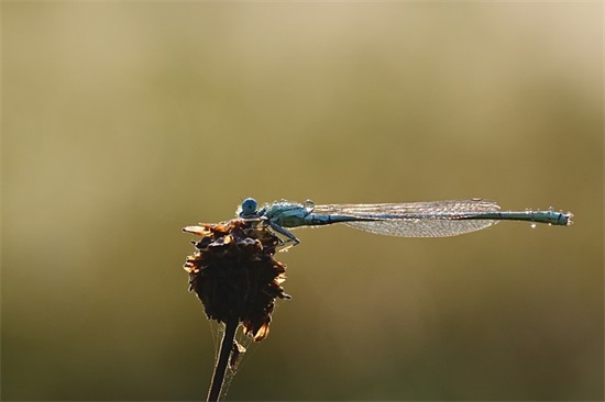 六个字很皮的游戏名字(精选241个)
