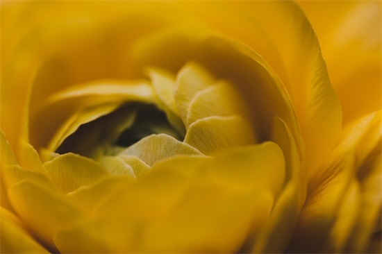 2026家长对高考孩子的寄语简短 【100句精选】