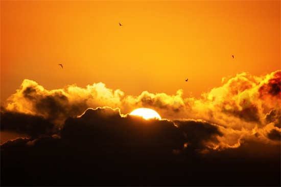 寄语新员工的话 【寄语新员工的一句话】