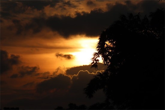 描写中国大好河山的句子有哪些？