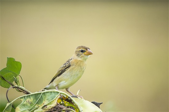 2025年有关奋斗励志的句子