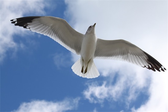 自我激励的句子 挫折自我激励的句子