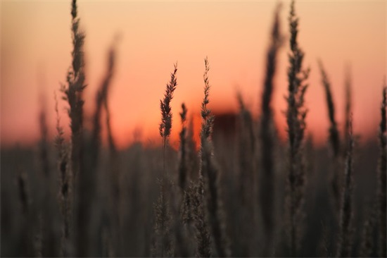 朋友之间珍惜的话语 2025年朋友之间的友谊句子