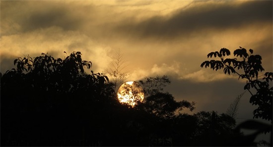 幼儿园毕业纪念册父母寄语 【幼儿园毕业纪念册祝福语】
