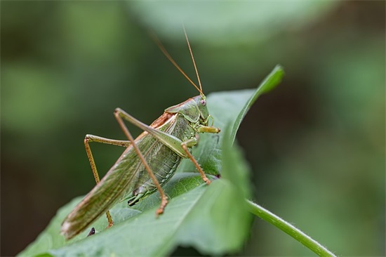 甜甜的句子给女朋友,安慰女朋友的暖心句子