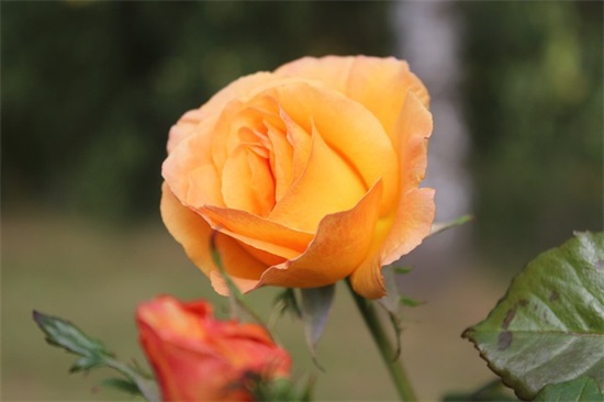 晚安的句子 适合晚安的句子