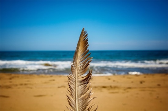 学生写给自己的寄语 【学生写给自己的寄语怎么写小学】