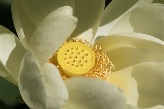 给妹妹励志寄语 【给妹妹激励的话】