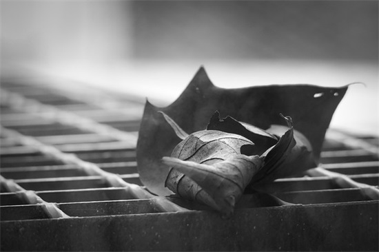 关于读书的寄语简短 【关于读书的寄语简短8字】