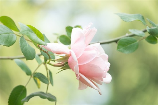 提升自己励志的句子 人生不断提升自己的句子