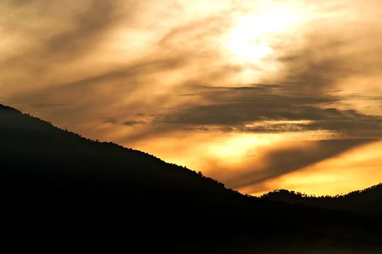 关于人性的句子