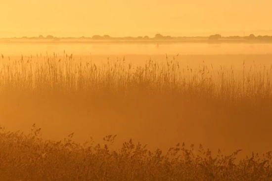五月即将过去六月你好的句子