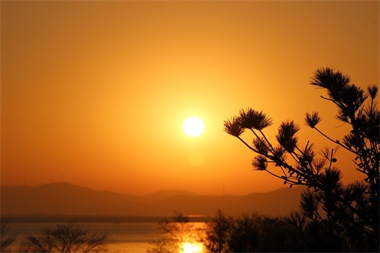 步入小学寄语-55句