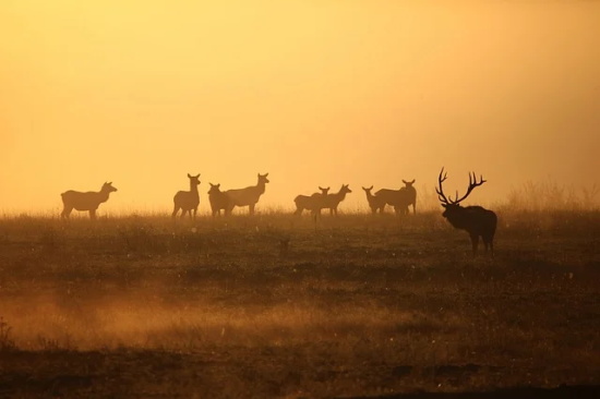 班主任班级寄语简短有内涵-56句
