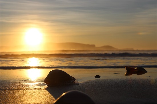 鼓励孩子努力上进的话350句