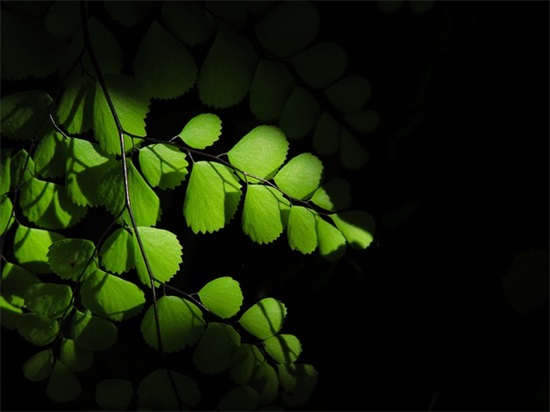 男人好的微信网名