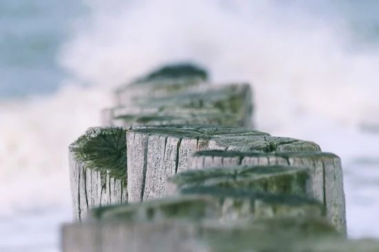 形容团队凝聚力的句子