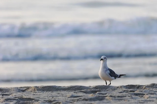 身体很重要的感悟句子64句