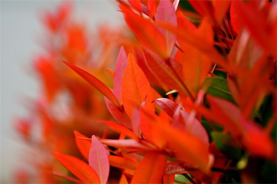 四月你好感慨说说