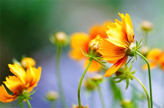 qq发说说 【100句精选】