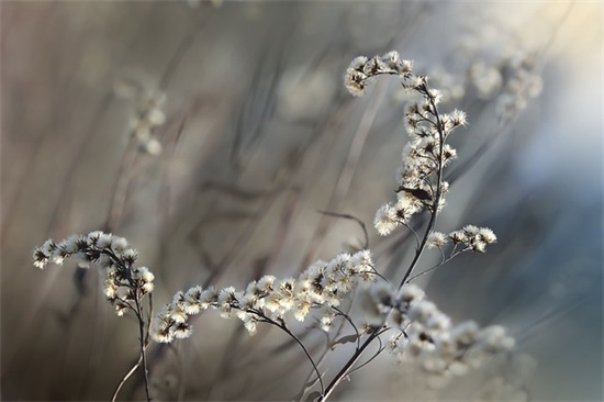 一年最后一天的句子简短(汇集65句)
