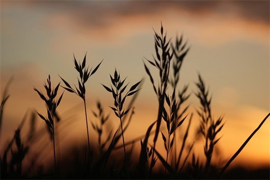 妈妈对幼儿园毕业的孩子的寄语简短-50句