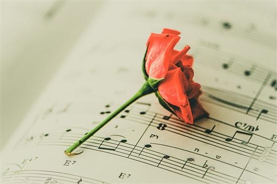 给闺蜜的新年寄语-50句