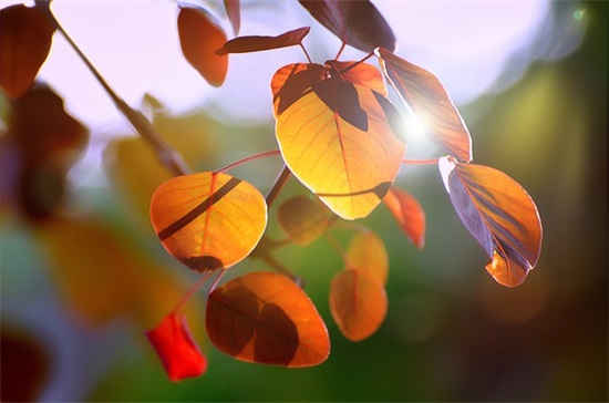 孩子中考的家长寄语-50句