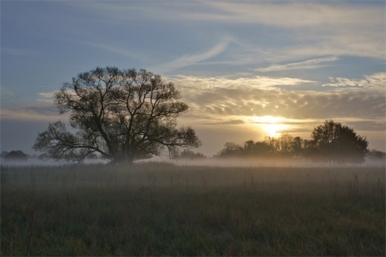 工作寄语短句-51句