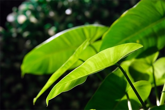 给15岁女儿的生日寄语-38句