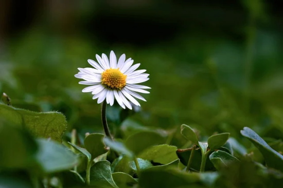 小学生给自己的寄语简短-53句