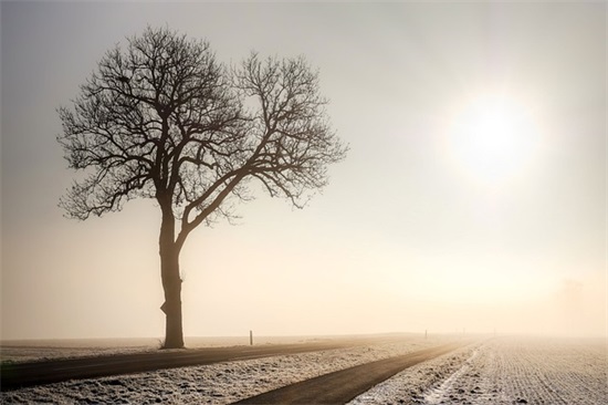 幼儿园毕业册父母寄语范文-34句