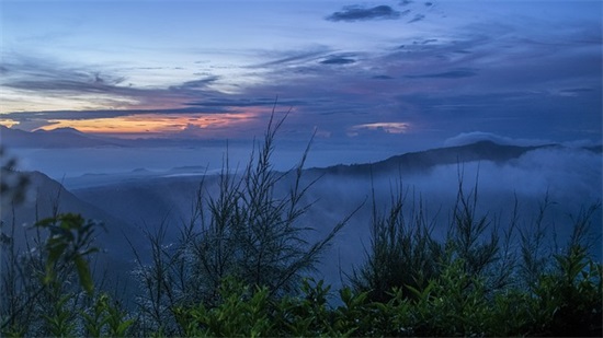 抖音甜句子 总有让你倾心