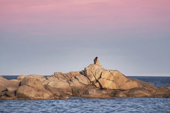 描写桂花树的优美句子21句