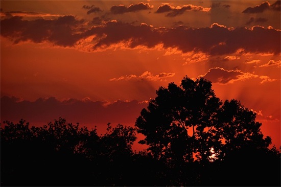 表示友情的心情句子