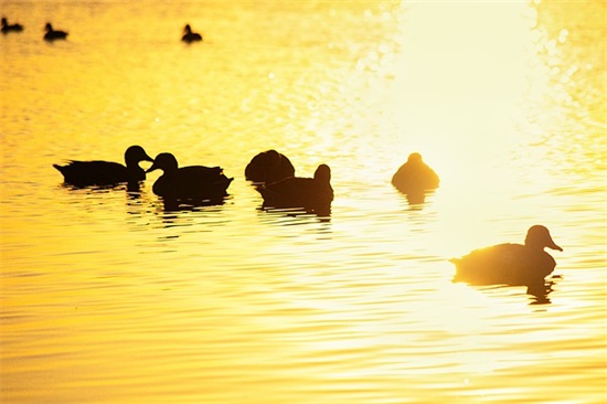 夸人长得漂亮的句子 2025年夸女孩子漂亮的话