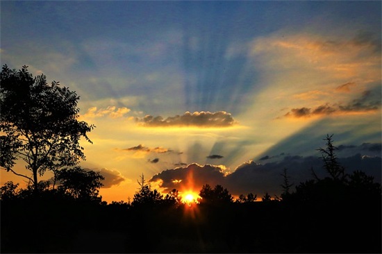 好记有特点的网名(精选110个)