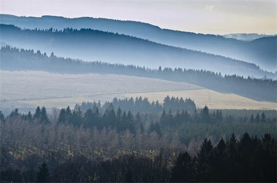 人生最贵是健康的句子(健康码为什么无缘无故变黄)